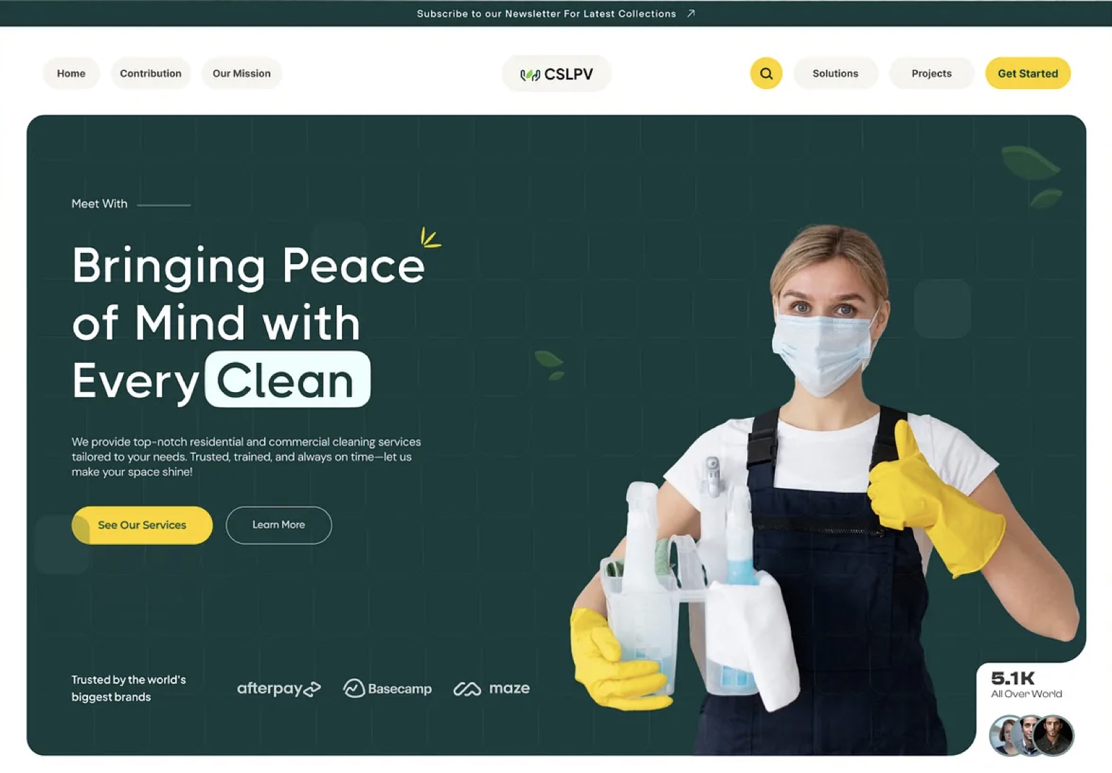 Premium cleaning agency website example